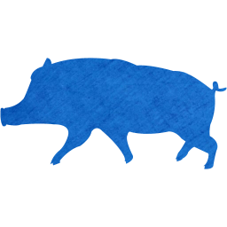 pig 10 icon