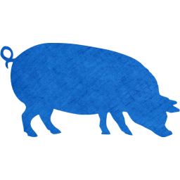 pig 4 icon