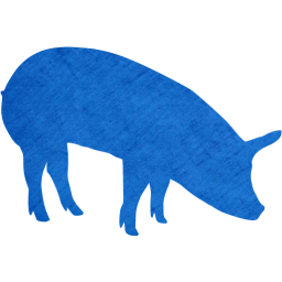 pig 5 icon