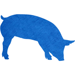 pig 7 icon