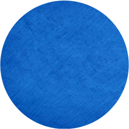 record icon