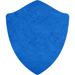 shield icon