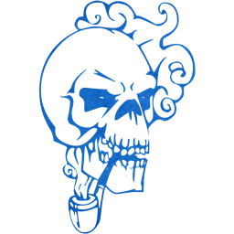 skull 10 icon