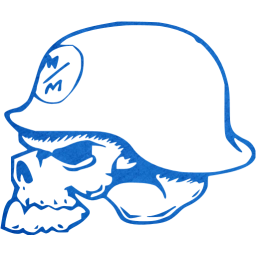 skull 14 icon