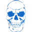 skull 41