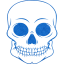 skull 55