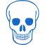 skull 71