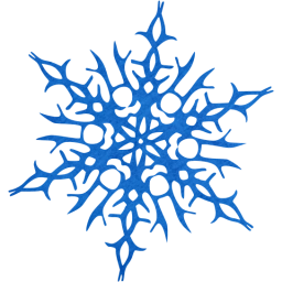 snowflake 14 icon