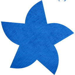 star 21 icon