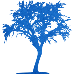 tree 10 icon