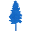 tree 19