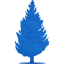 tree 55