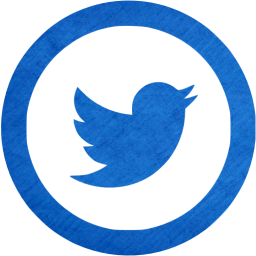 twitter 5 icon