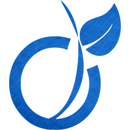 viadeo icon
