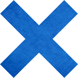 x mark icon