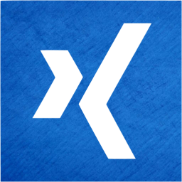 xing 2 icon