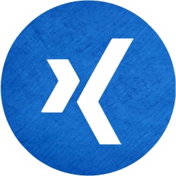 xing 4 icon