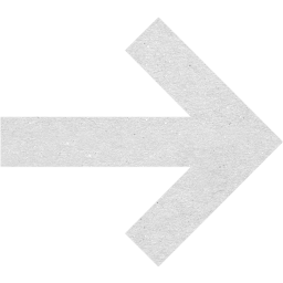 arrow 20 icon