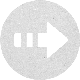 arrow right 5 icon