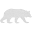 bear 5