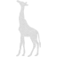 giraffe 2