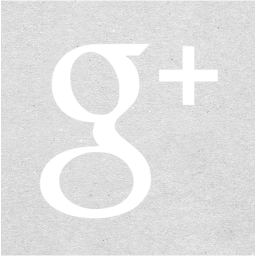 google plus 2 icon