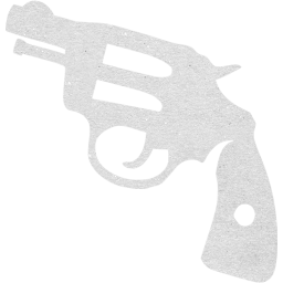 gun 2 icon