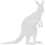 kangaroo