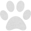paw
