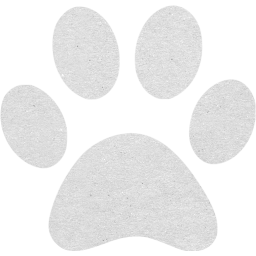 paw icon