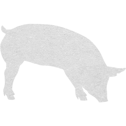 pig 7 icon