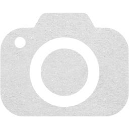 screenshot icon