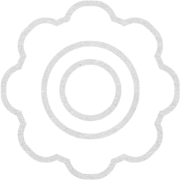 settings 16 icon