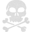 skull 22