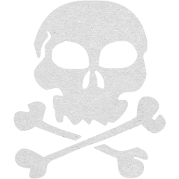skull 22 icon