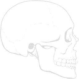 skull 62 icon