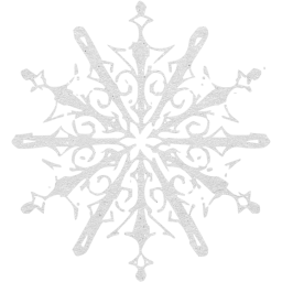 snowflake 10 icon