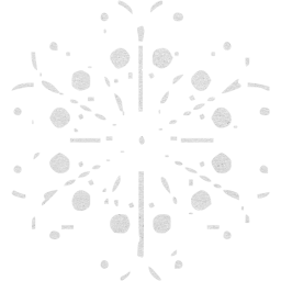 snowflake 12 icon