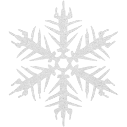 snowflake 16 icon