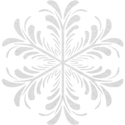 snowflake 17 icon