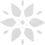 snowflake 23