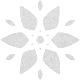 snowflake 23 icon