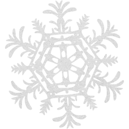 snowflake 25 icon