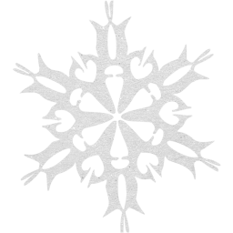 snowflake 30 icon