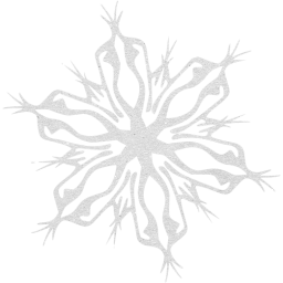 snowflake 4 icon