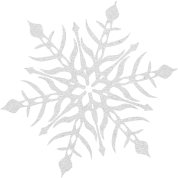 snowflake 47 icon