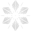 snowflake 5