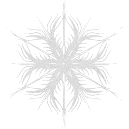 snowflake 53 icon