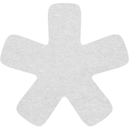 star 11 icon