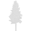 tree 19